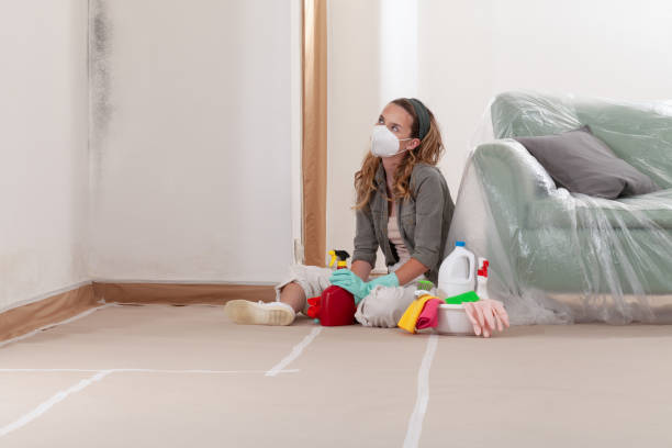 Reliable Crawl Space Mold Removal contractor in Colorado, CO by WQB Mold Removal